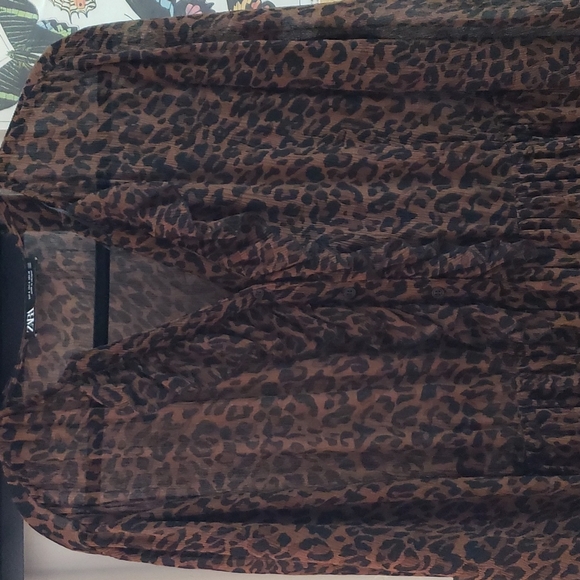 Zara Dress - Picture 3 of 4